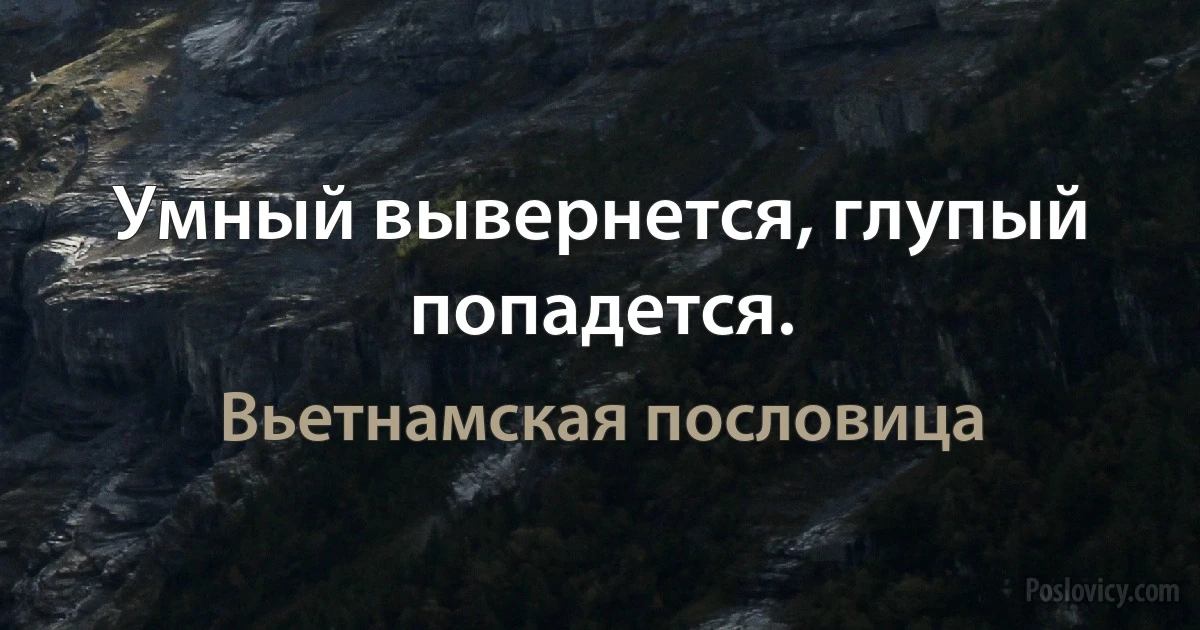 Умный вывернется, глупый попадется. (Вьетнамская пословица)