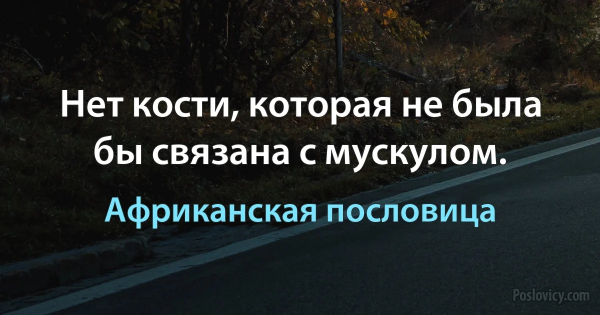 Нет кости, которая не была бы связана с мускулом. (Африканская пословица)