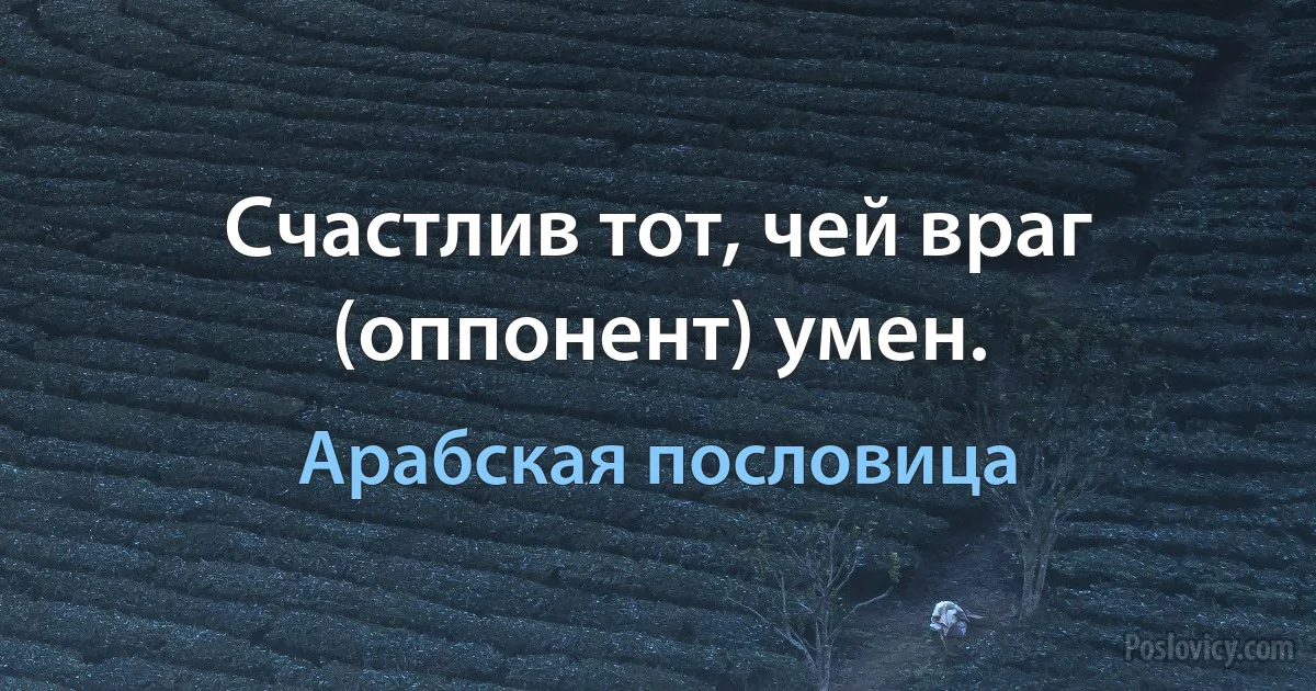 Счастлив тот, чей враг (оппонент) умен. (Арабская пословица)