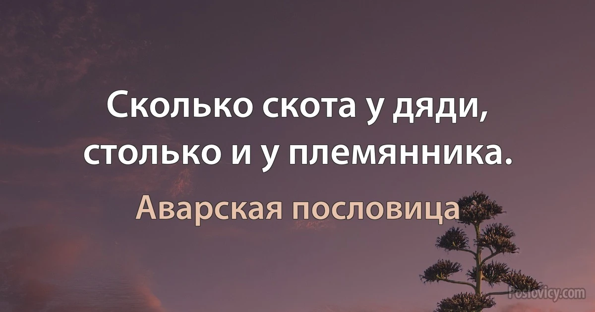 Сколько скота у дяди, столько и у племянника. (Аварская пословица)