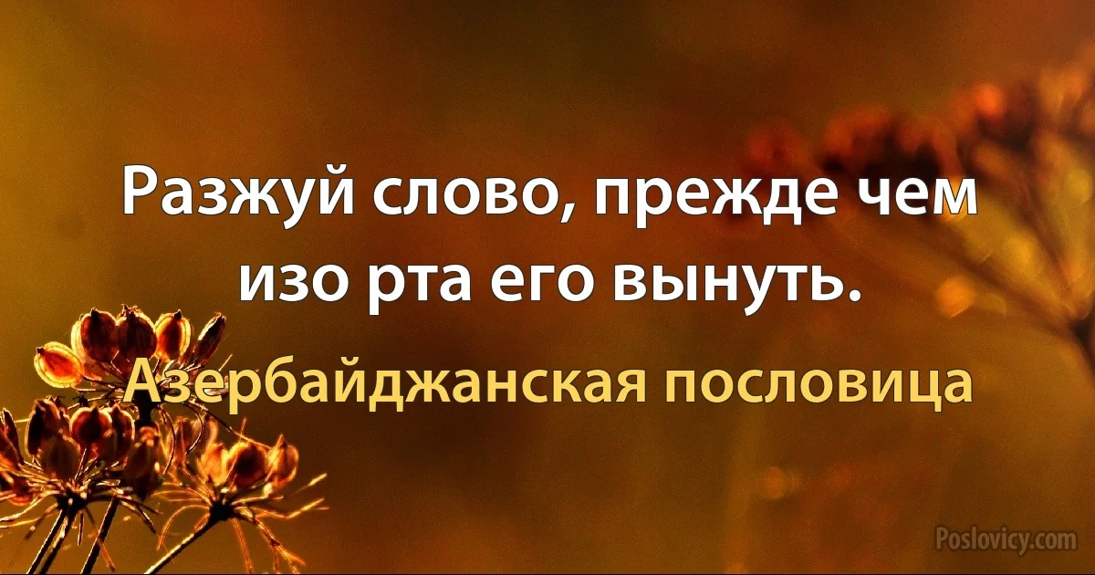 Разжуй слово, прежде чем изо рта его вынуть. (Азербайджанская пословица)