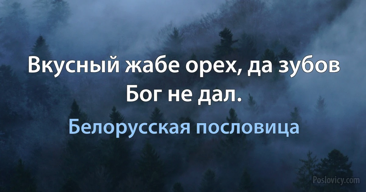 Вкусный жабе орех, да зубов Бог не дал. (Белорусская пословица)