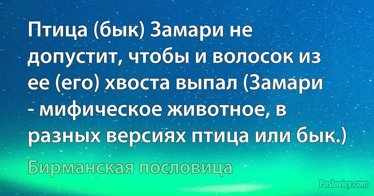 Птица (бык) Замари не допустит, чтобы и волосок из ее (его) хвоста выпал (Замари - мифическое животное, в разных версиях птица или бык.) (Бирманская пословица)