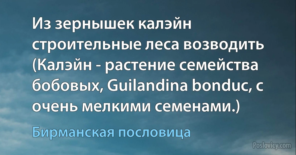 Из зернышек калэйн строительные леса возводить (Калэйн - растение семейства бобовых, Guilandina bonduc, с очень мелкими семенами.) (Бирманская пословица)