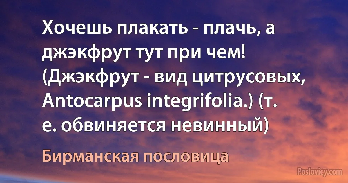 Хочешь плакать - плачь, а джэкфрут тут при чем! (Джэкфрут - вид цитрусовых, Antocarpus integrifolia.) (т. е. обвиняется невинный) (Бирманская пословица)