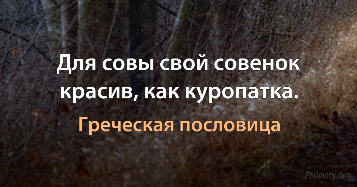 Для совы свой совенок красив, как куропатка. (Греческая пословица)