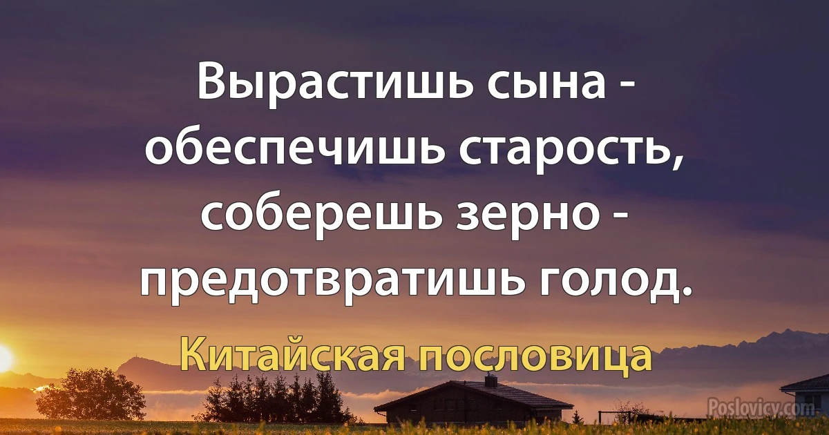 Вырастишь сына - обеспечишь старость, соберешь зерно - предотвратишь голод. (Китайская пословица)