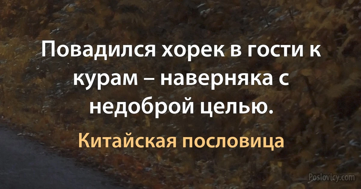 Повадился хорек в гости к курам – наверняка с недоброй целью. (Китайская пословица)