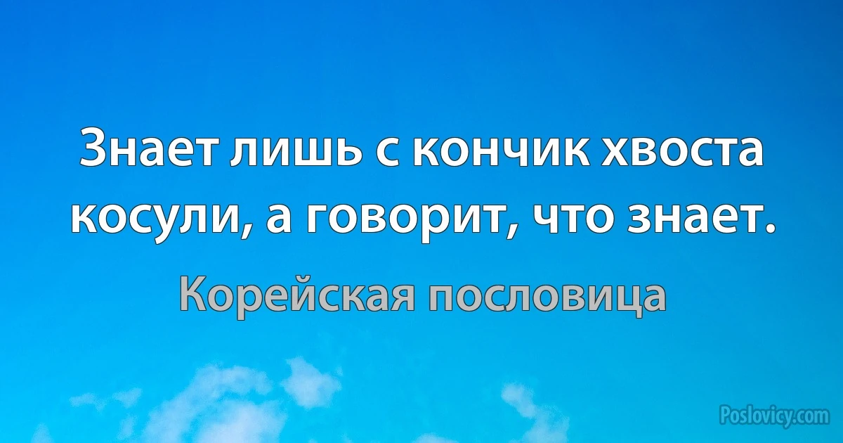 Знает лишь с кончик хвоста косули, а говорит, что знает. (Корейская пословица)