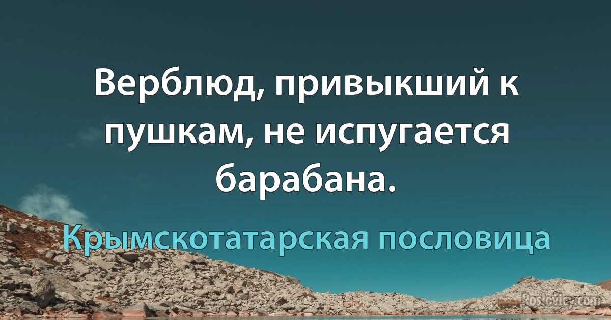 Верблюд, привыкший к пушкам, не испугается барабана. (Крымскотатарская пословица)