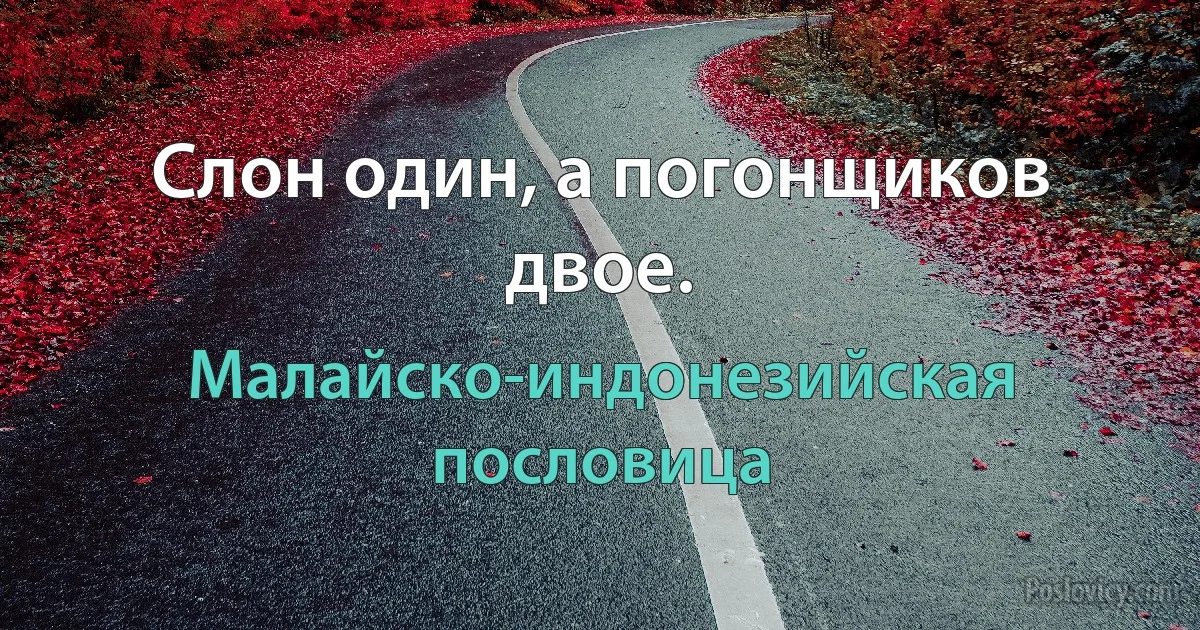 Слон один, а погонщиков двое. (Малайско-индонезийская пословица)