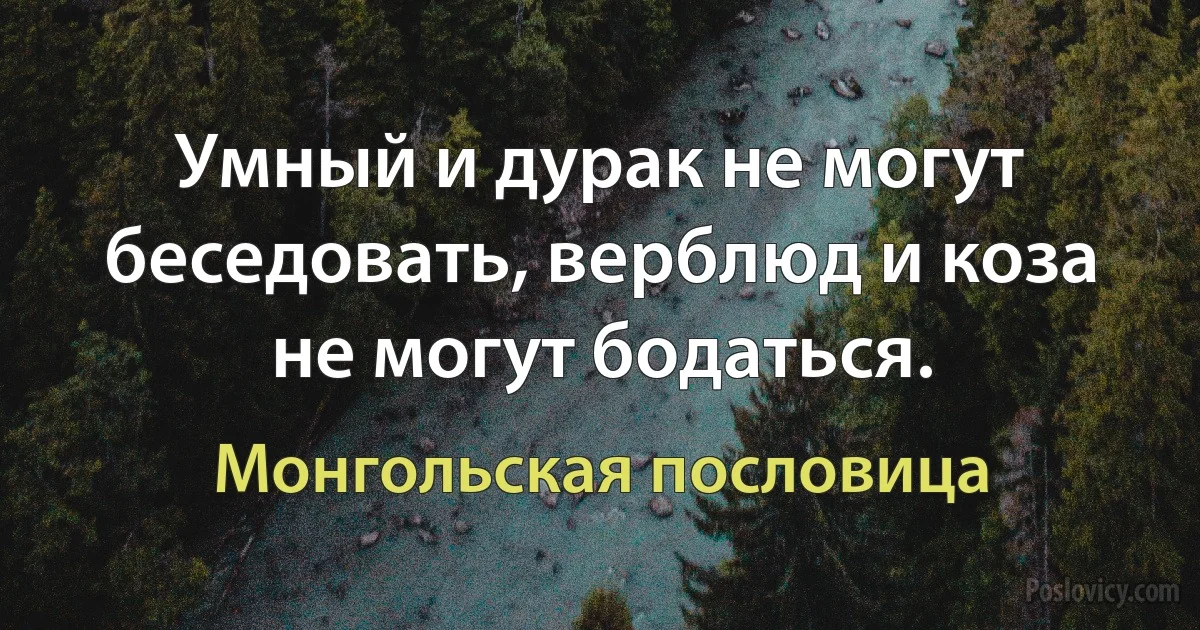 Умный и дурак не могут беседовать, верблюд и коза не могут бодаться. (Монгольская пословица)