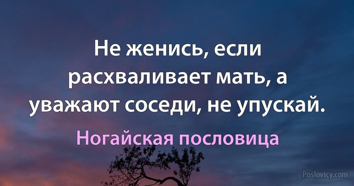 Не женись, если расхваливает мать, а уважают соседи, не упускай. (Ногайская пословица)