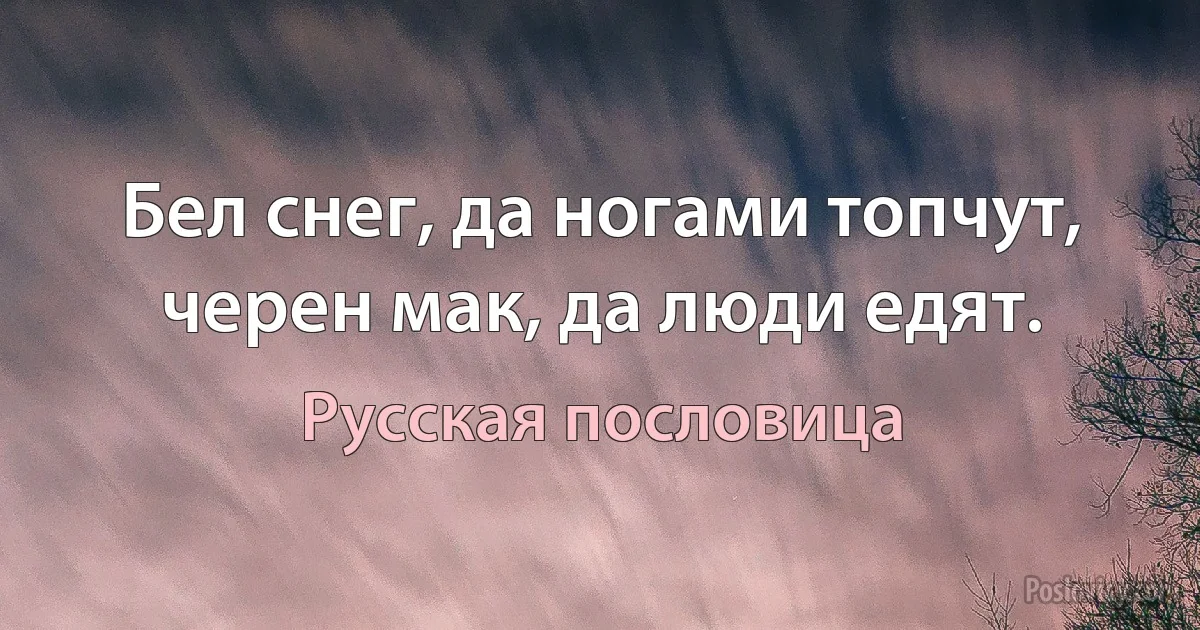 Бел снег, да ногами топчут, черен мак, да люди едят. (Русская пословица)