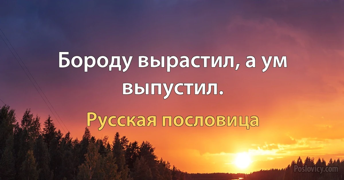 Бороду вырастил, а ум выпустил. (Русская пословица)