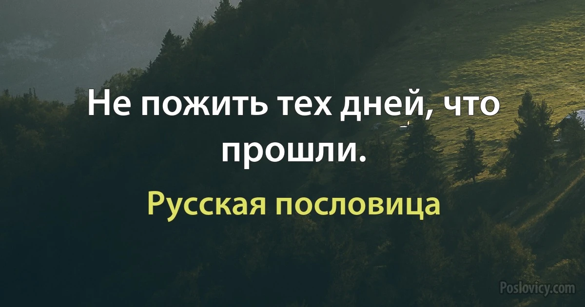 Не пожить тех дней, что прошли. (Русская пословица)