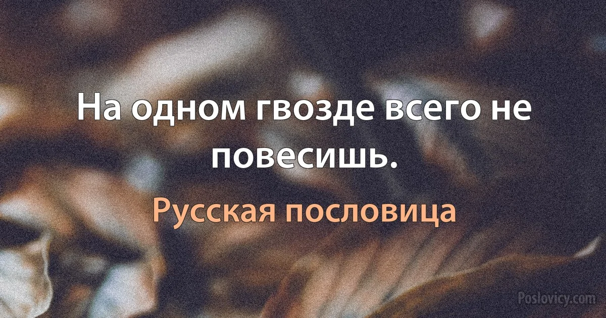 На одном гвозде всего не повесишь. (Русская пословица)