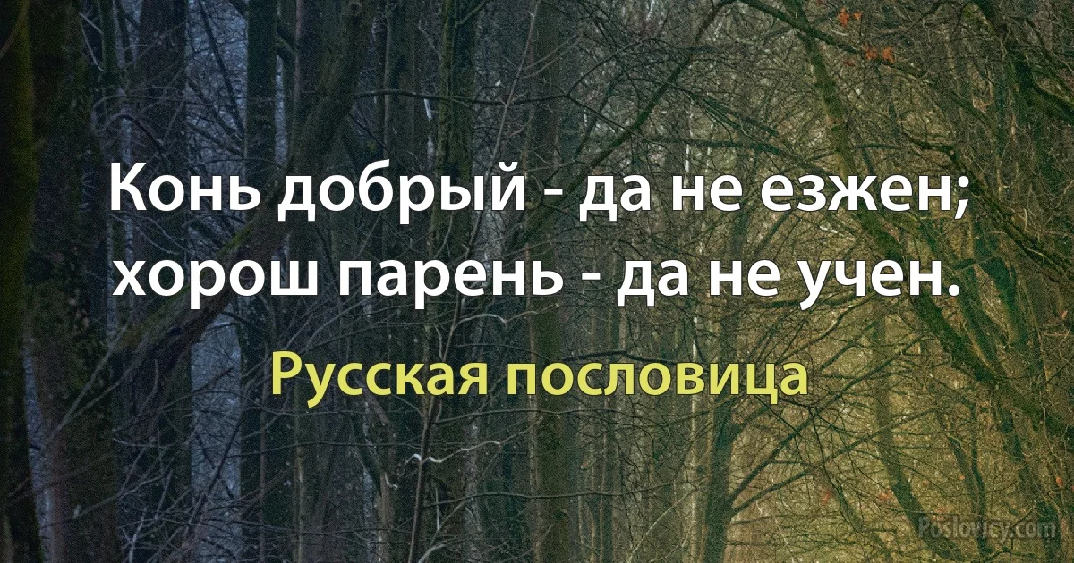 Конь добрый - да не езжен; хорош парень - да не учен. (Русская пословица)