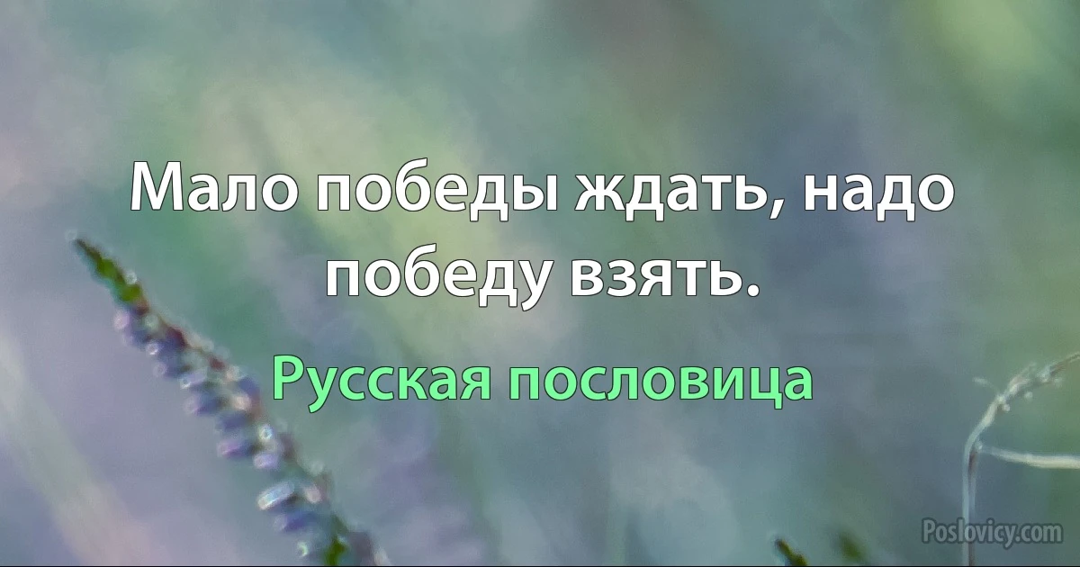 Мало победы ждать, надо победу взять. (Русская пословица)