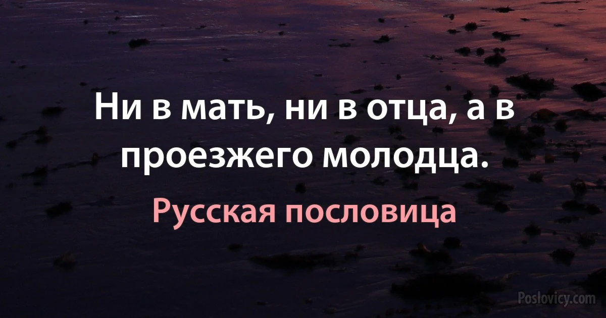 Ни в мать, ни в отца, а в проезжего молодца. (Русская пословица)