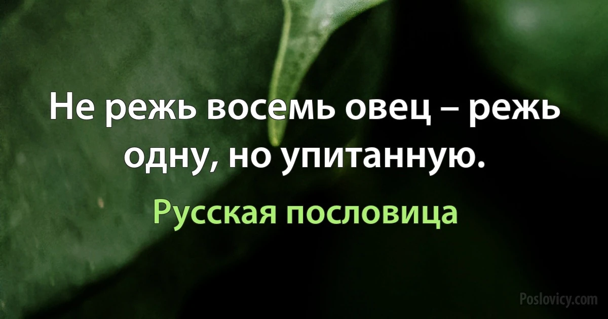 Не режь восемь овец – режь одну, но упитанную. (Русская пословица)