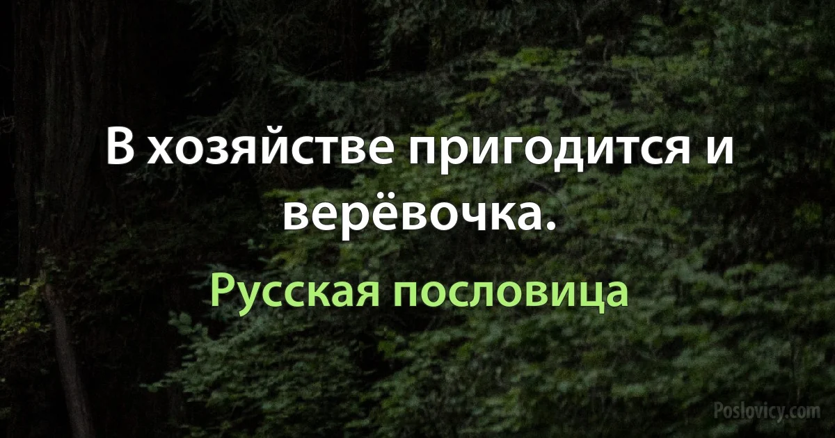 В хозяйстве пригодится и верёвочка. (Русская пословица)