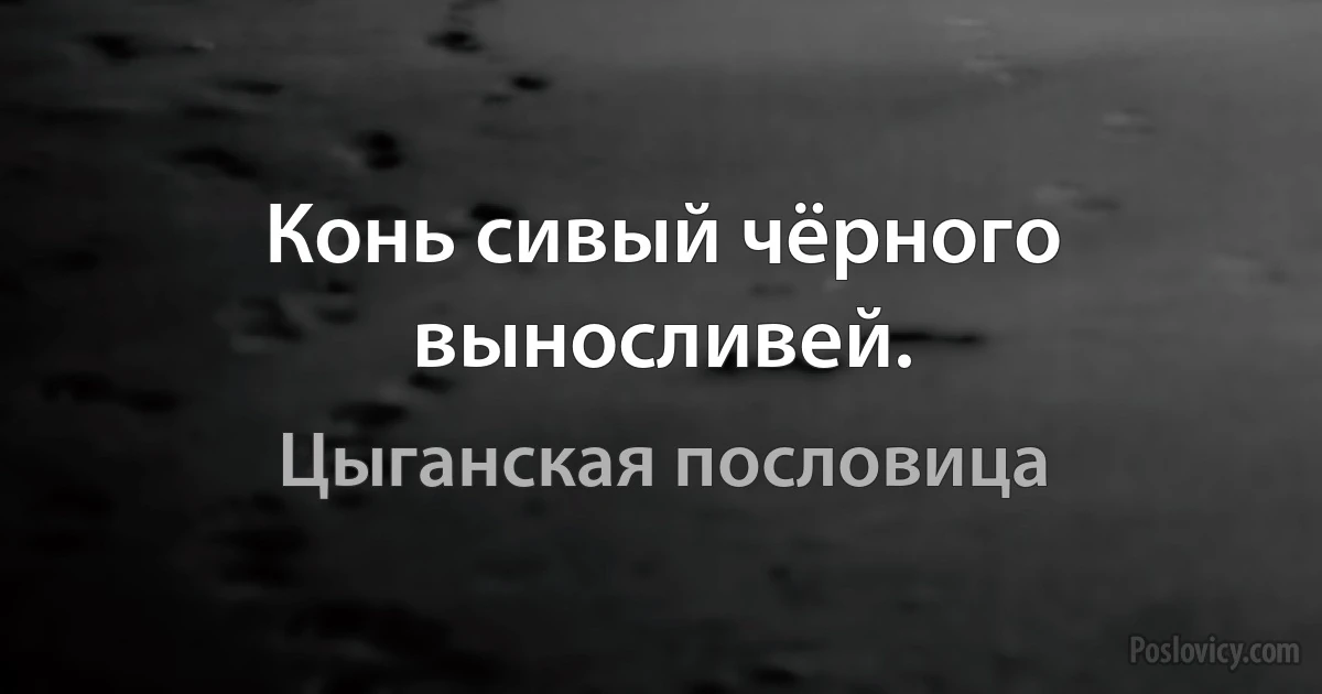 Конь сивый чёрного выносливей. (Цыганская пословица)