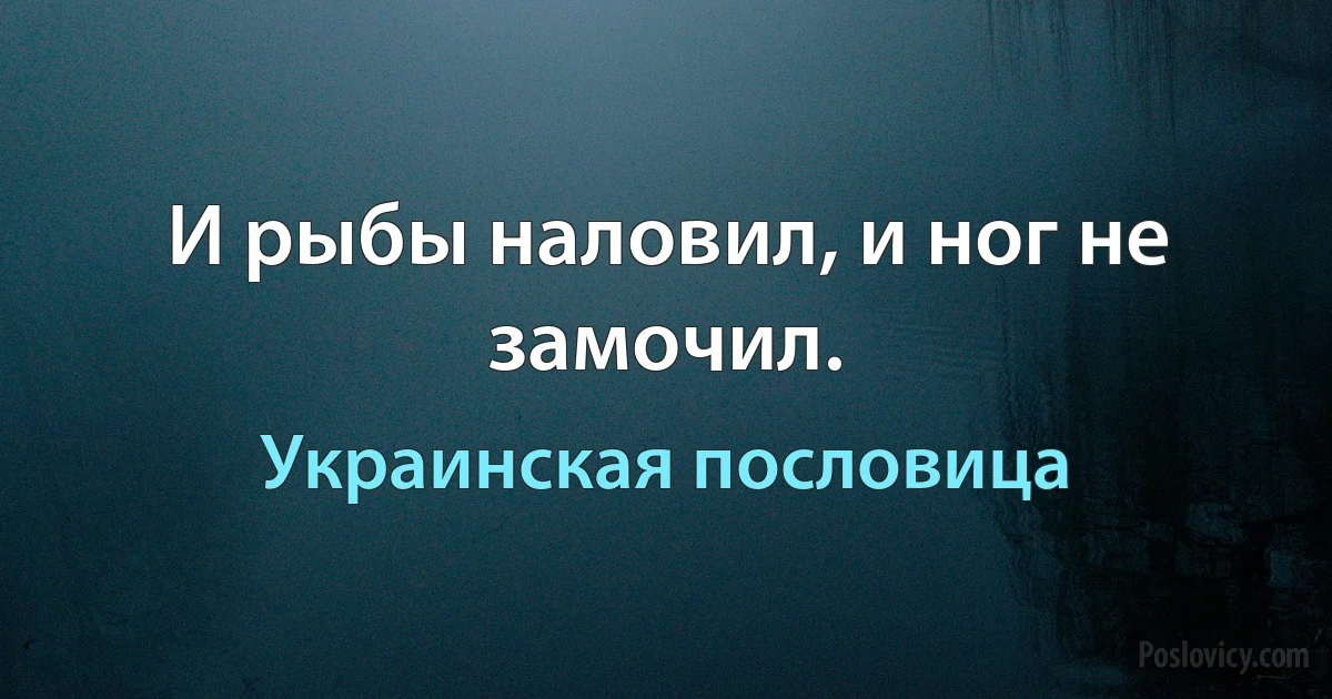 И рыбы наловил, и ног не замочил. (Украинская пословица)