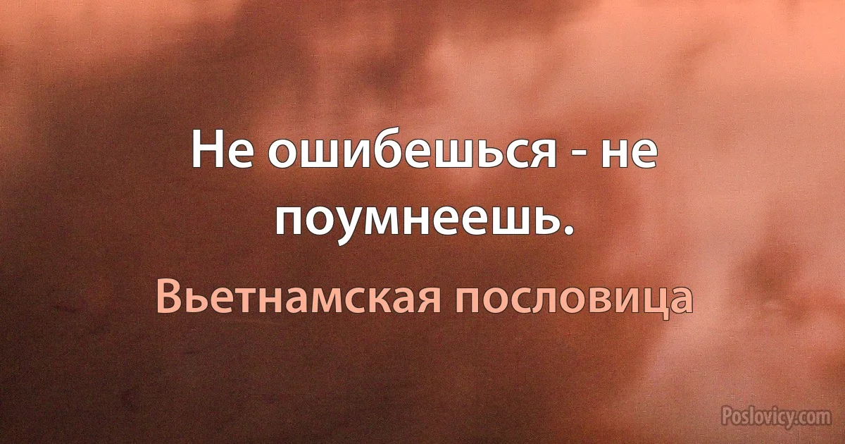 Не ошибешься - не поумнеешь. (Вьетнамская пословица)