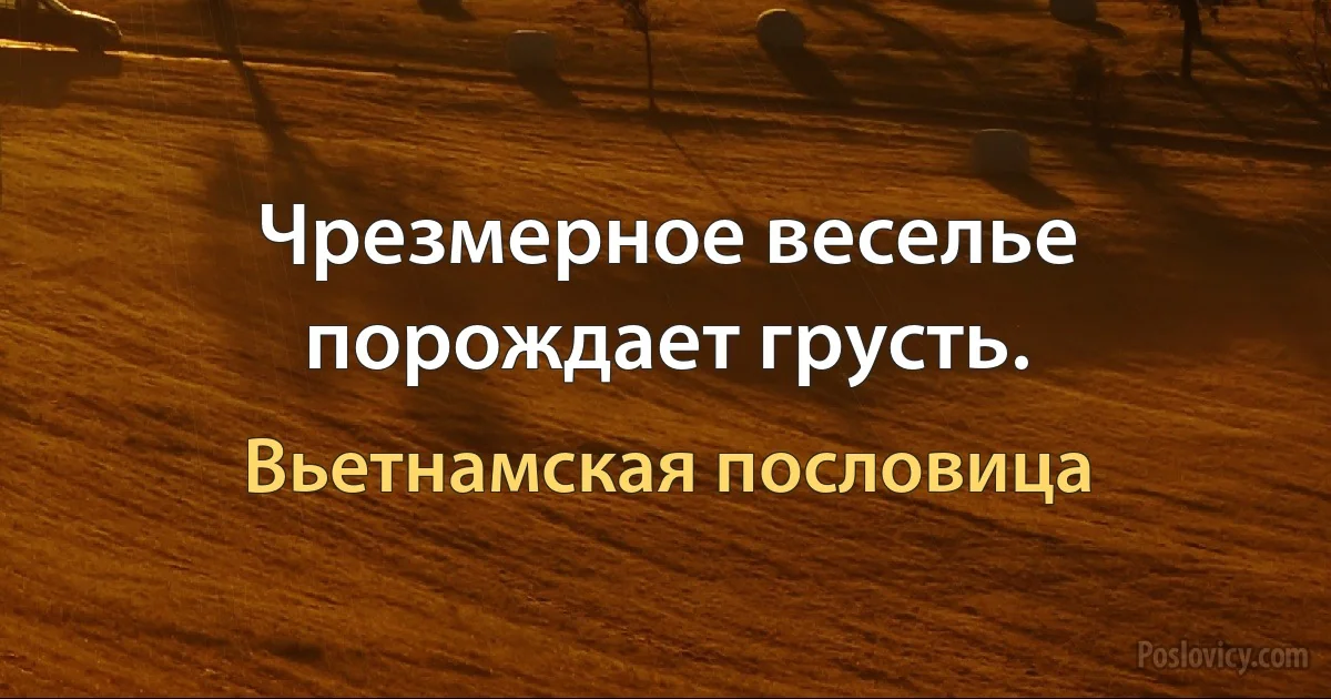 Чрезмерное веселье порождает грусть. (Вьетнамская пословица)