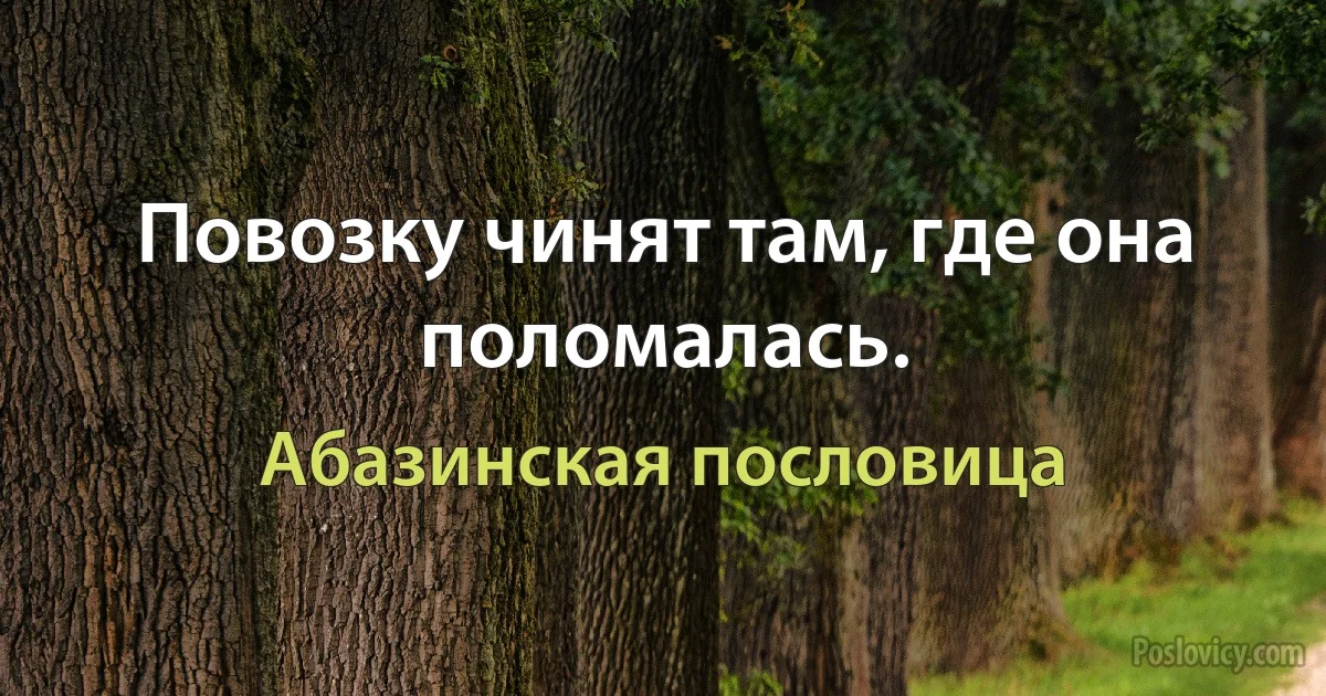 Повозку чинят там, где она поломалась. (Абазинская пословица)