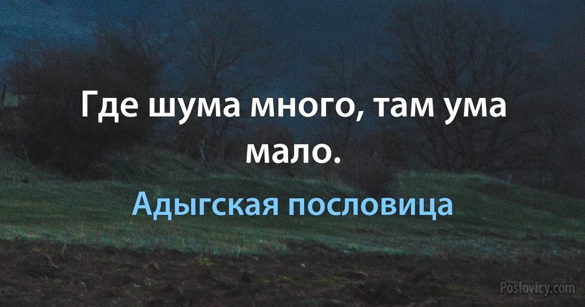 Где шума много, там ума мало. (Адыгская пословица)