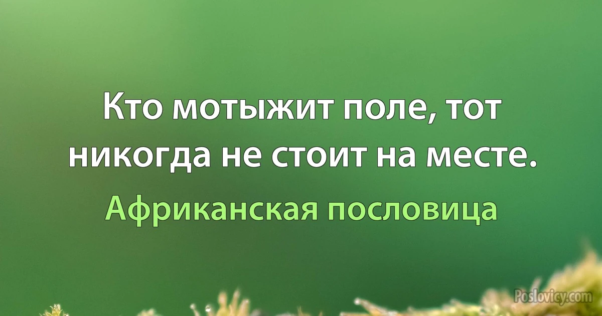 Кто мотыжит поле, тот никогда не стоит на месте. (Африканская пословица)