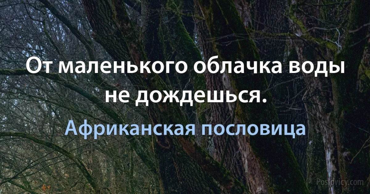 От маленького облачка воды не дождешься. (Африканская пословица)