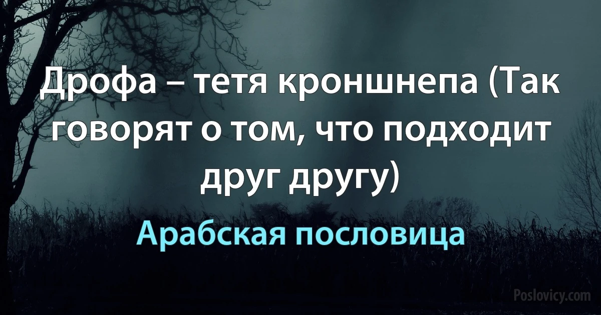 Дрофа – тетя кроншнепа (Так говорят о том, что подходит друг другу) (Арабская пословица)