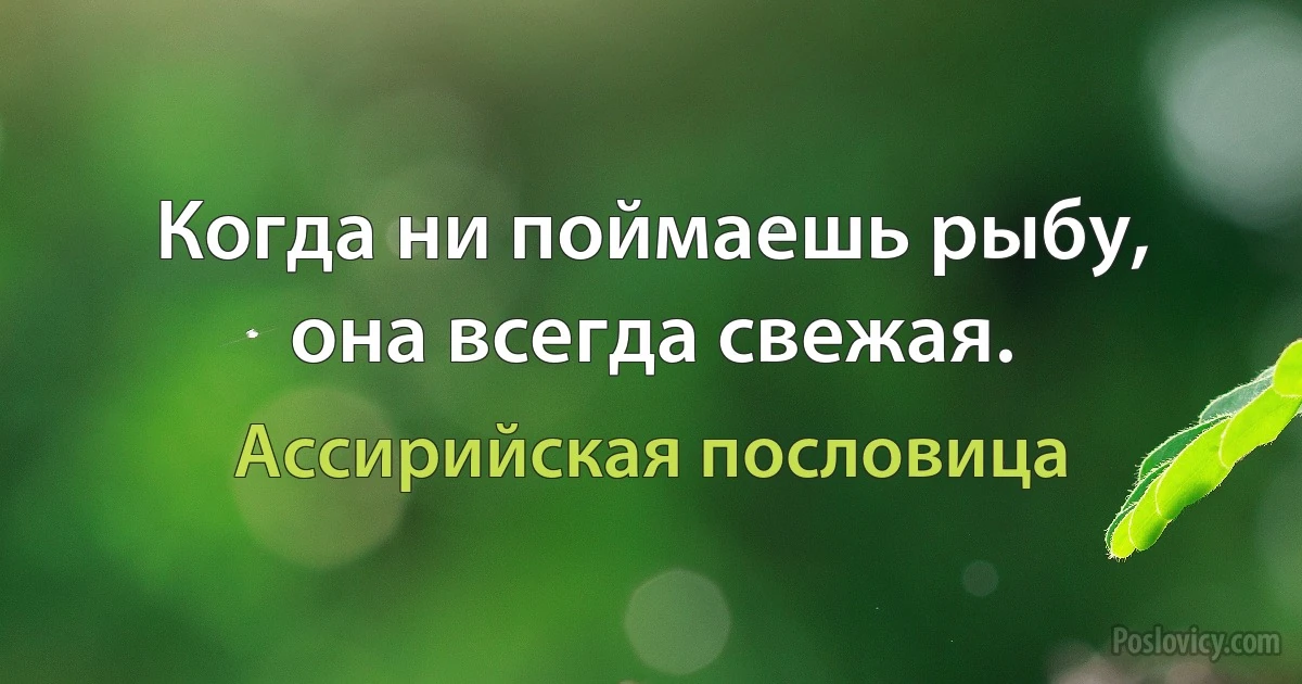 Когда ни поймаешь рыбу, она всегда свежая. (Ассирийская пословица)