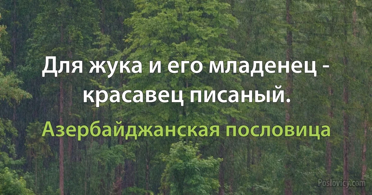 Для жука и его младенец - красавец писаный. (Азербайджанская пословица)