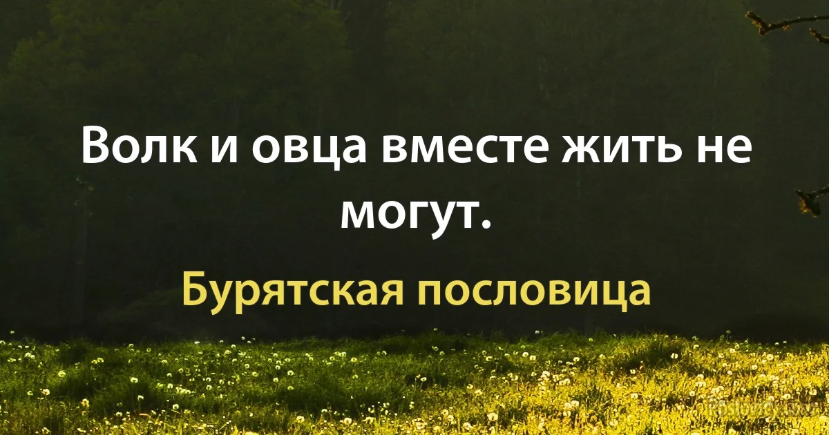 Волк и овца вместе жить не могут. (Бурятская пословица)