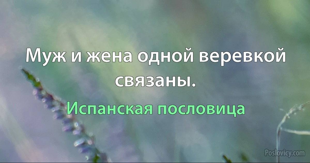 Муж и жена одной веревкой связаны. (Испанская пословица)