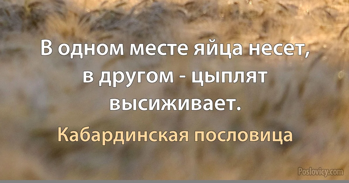 В одном месте яйца несет, в другом - цыплят высиживает. (Кабардинская пословица)