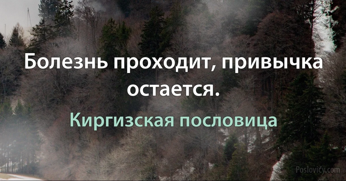 Болезнь проходит, привычка остается. (Киргизская пословица)