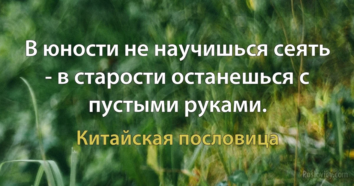 В юности не научишься сеять - в старости останешься с пустыми руками. (Китайская пословица)