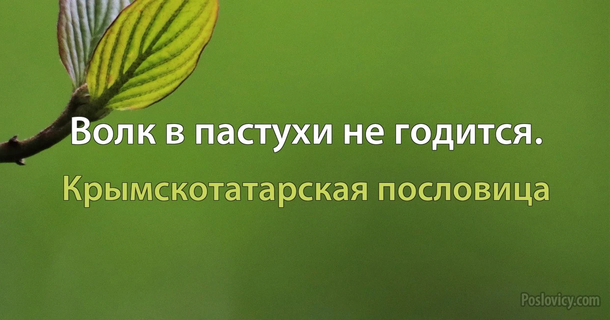 Волк в пастухи не годится. (Крымскотатарская пословица)