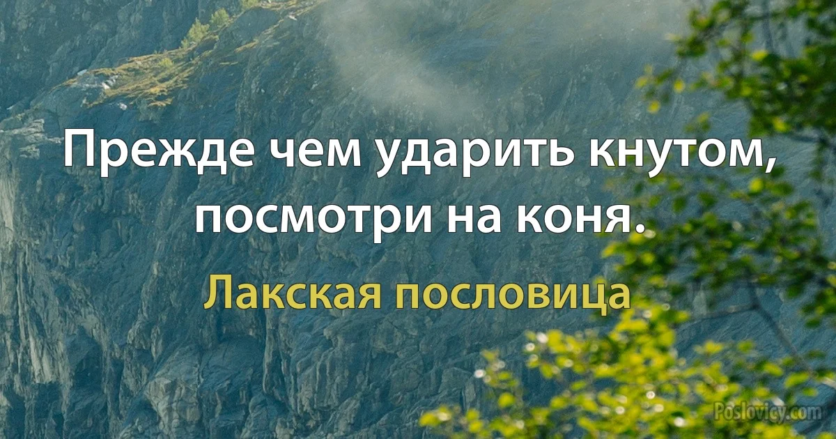 Прежде чем ударить кнутом, посмотри на коня. (Лакская пословица)