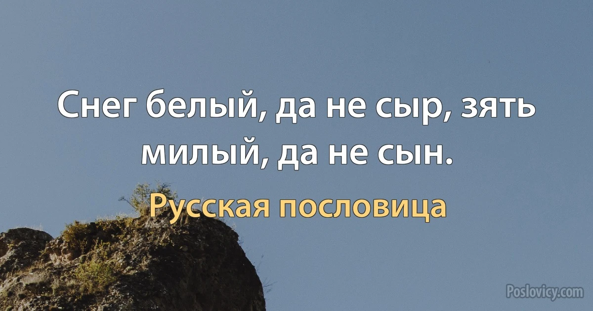 Снег белый, да не сыр, зять милый, да не сын. (Русская пословица)