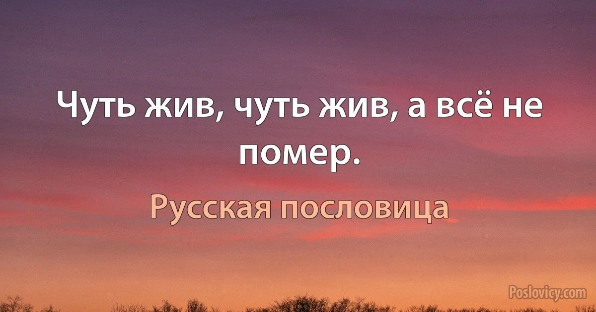 Чуть жив, чуть жив, а всё не помер. (Русская пословица)