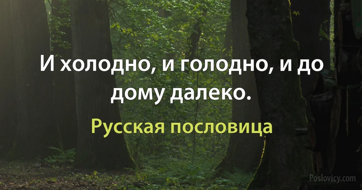 И холодно, и голодно, и до дому далеко. (Русская пословица)