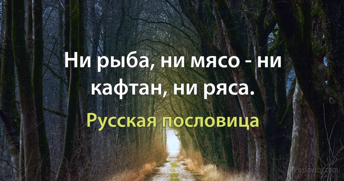 Ни рыба, ни мясо - ни кафтан, ни ряса. (Русская пословица)