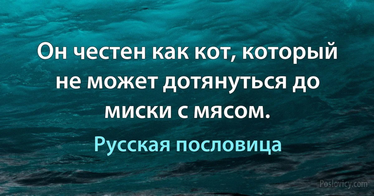 Он честен как кот, который не может дотянуться до миски с мясом. (Русская пословица)