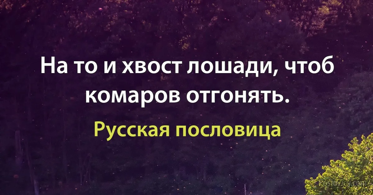 На то и хвост лошади, чтоб комаров отгонять. (Русская пословица)